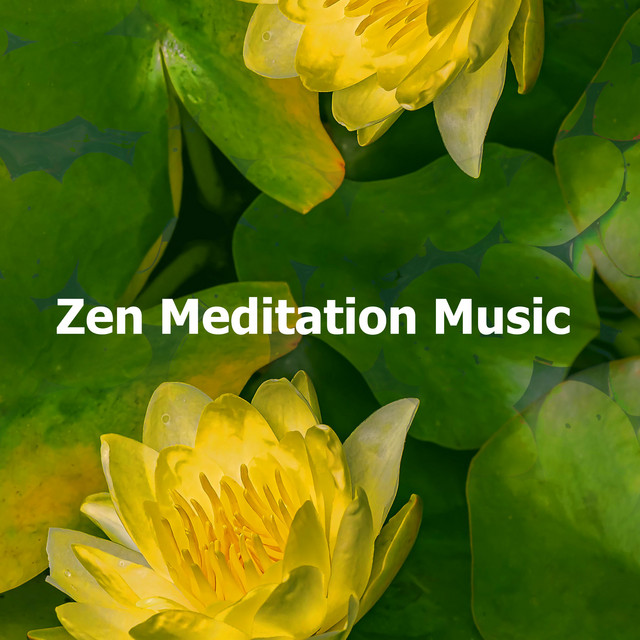 Zen Meditation Music - Album by Zen | Spotify