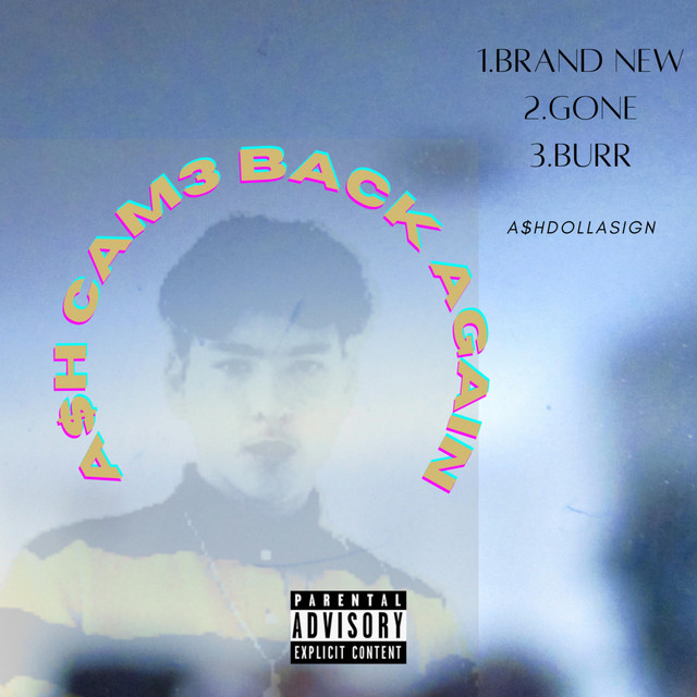 A$hDollaSign – BURR