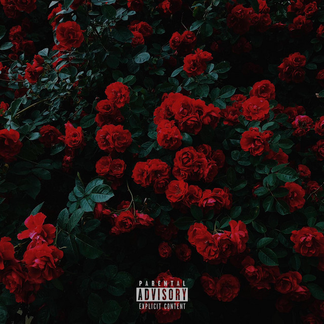 EVERYTIME cover art