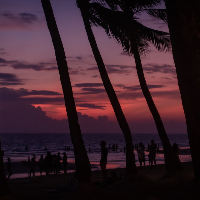 sunset cover art