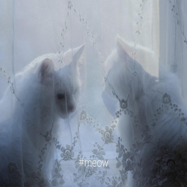 #meow cover art
