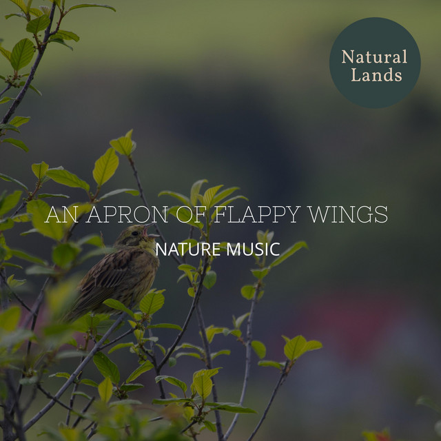 An Apron of Flappy Wings - Nature Music cover art