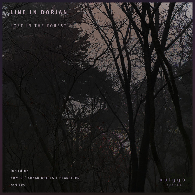 Lost In The Forest cover art
