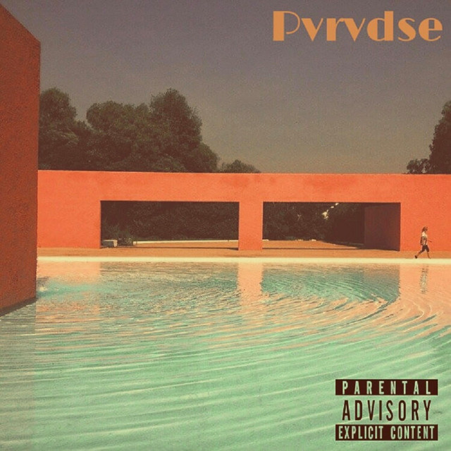 Pvrvdse cover art