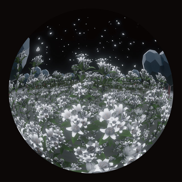 peephole cover