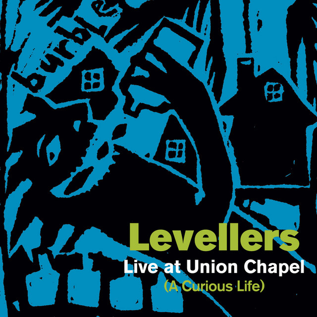 A Curious Life cover
