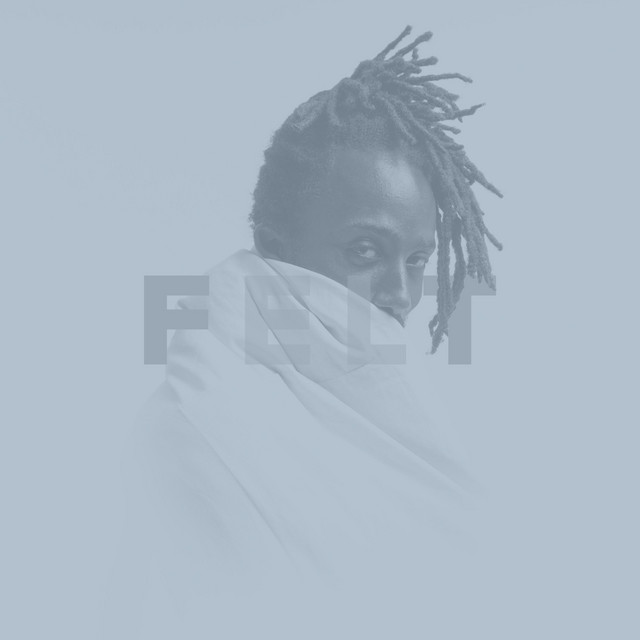 •FELT• cover art