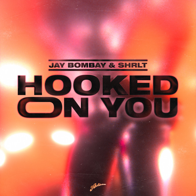 Hooked On You cover art