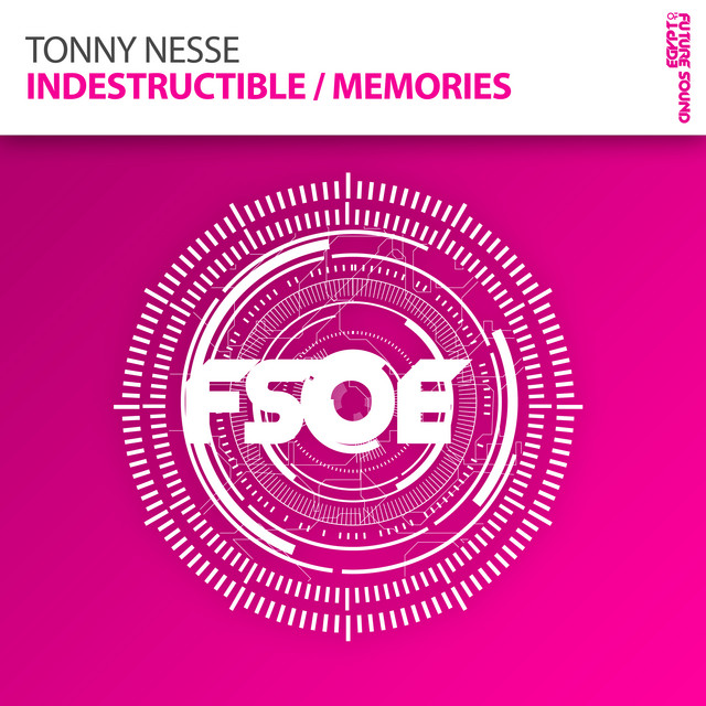 Indestructible - Ahmed Romel Remix cover art