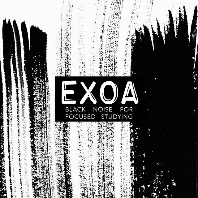 Black Noise for Focused Studying by EXOA