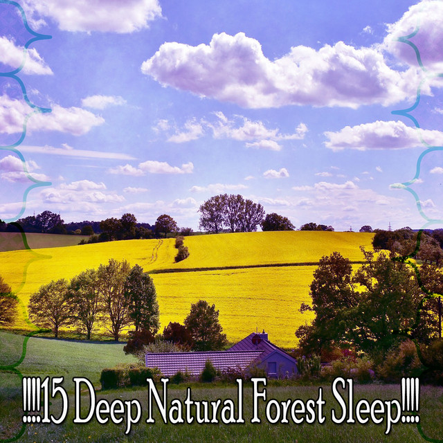 15 Deep Natural Forest Sleep!!!! - Album by Nature Sounds Artists | Spotify