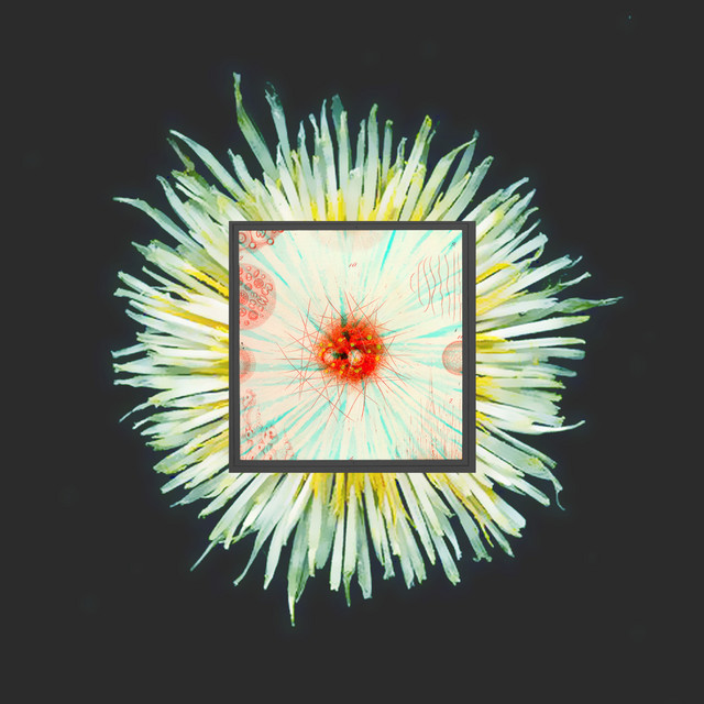 Complicated Creatures cover art