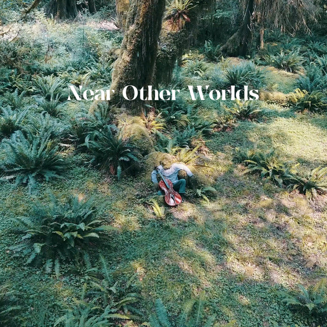 Near Other Worlds cover art
