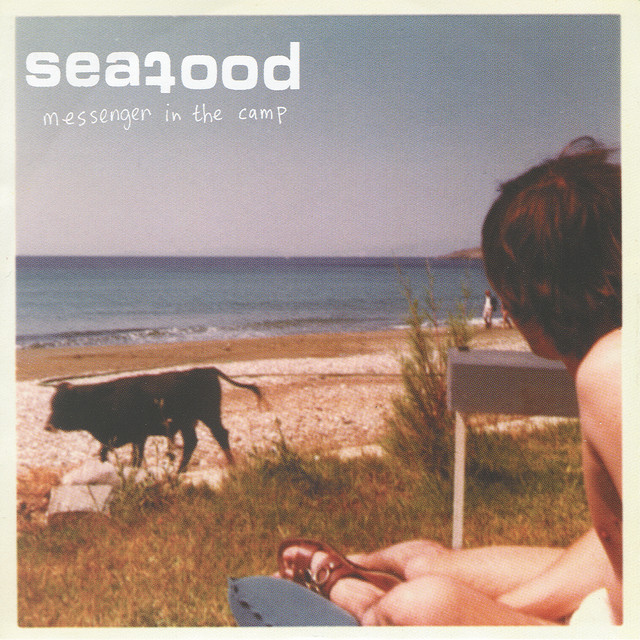 Messenger In The Camp cover art