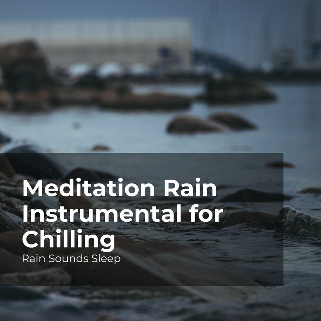 Meditation Rain Instrumental for Chilling - Album by Rain Sounds Sleep ...