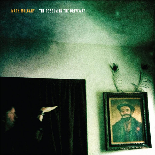 The Possum in the Driveway cover art