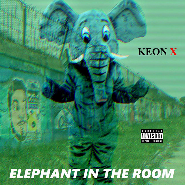 Elephant In The Room cover art