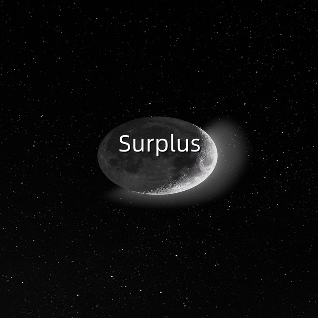 Surplus cover art