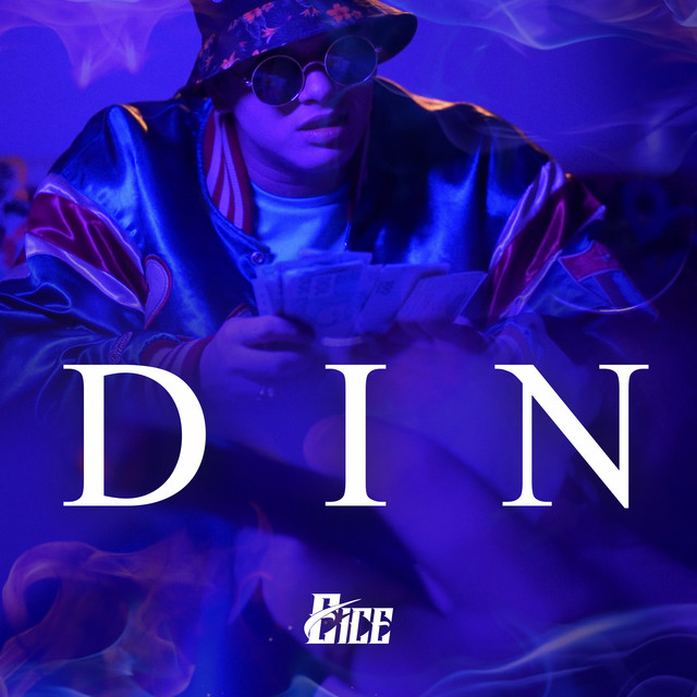 Din cover art