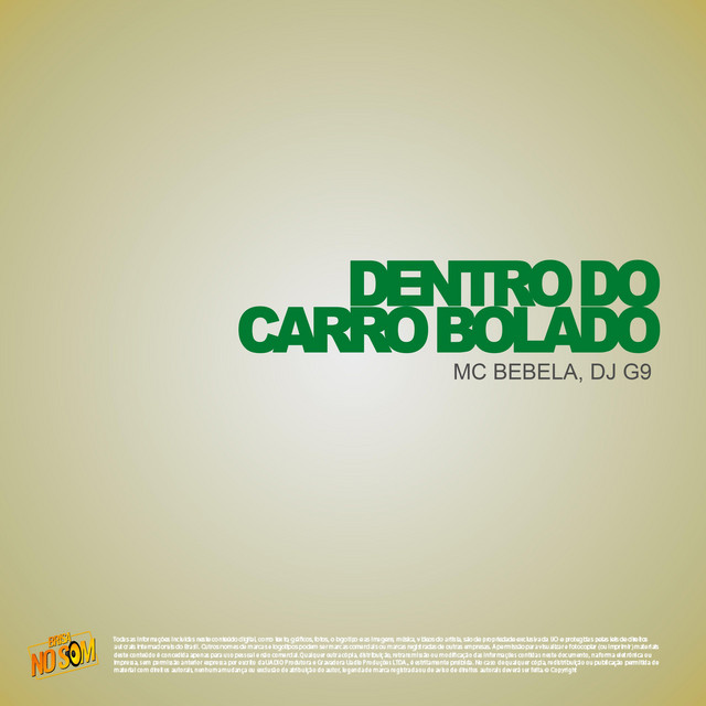 DENTRO DO CARRO BOLADO