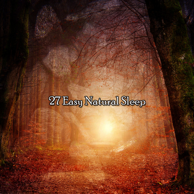 27 Easy Natural Sleep - Album by Forest Sounds | Spotify