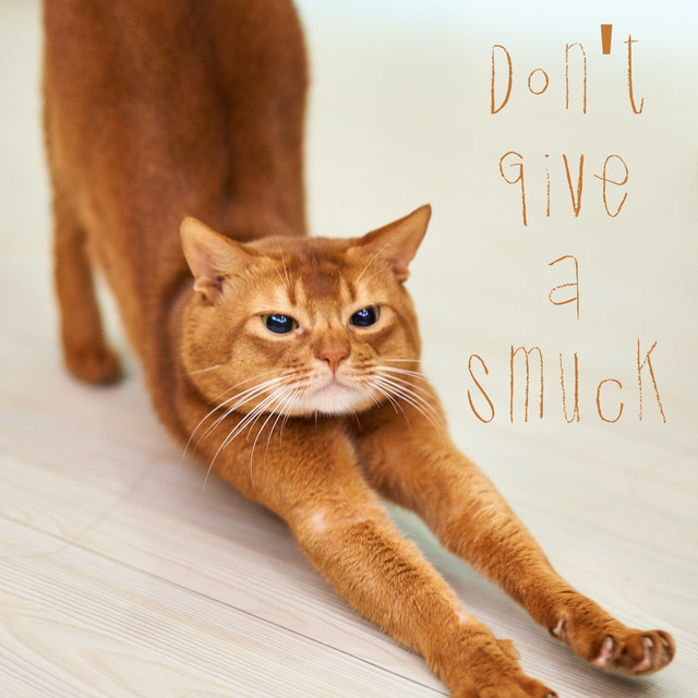 Don't Give a Smuck cover art