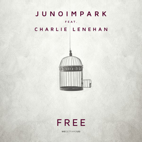 Free cover