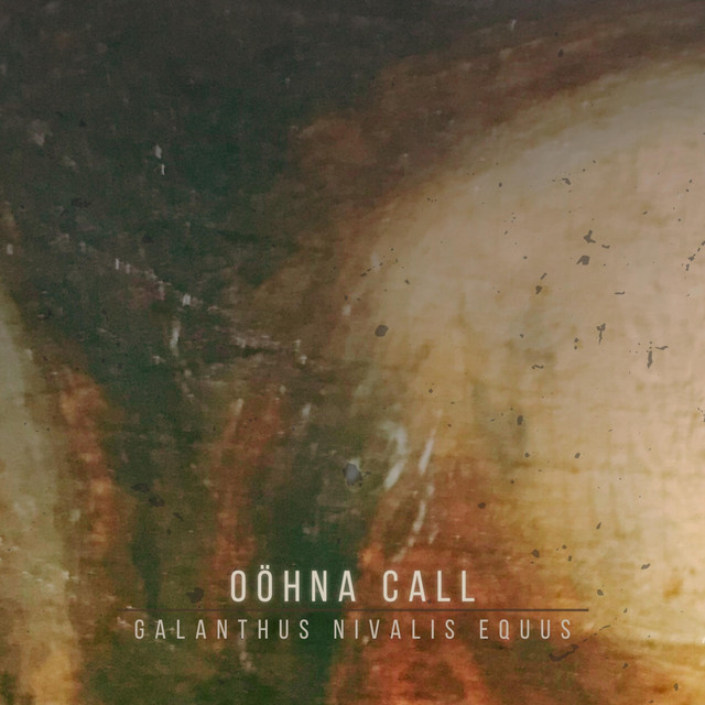 Galanthus Nivalis Equus (single)