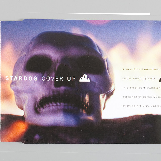 Cover Up cover