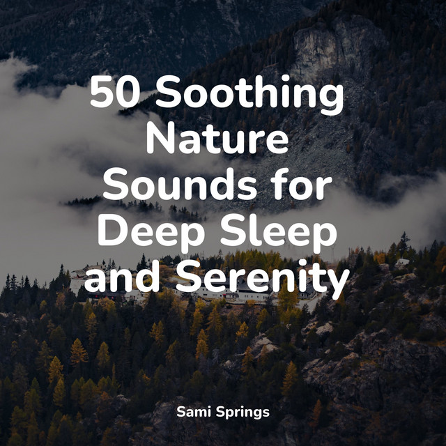 50 Soothing Nature Sounds for Deep Sleep and Serenity - Album by ...