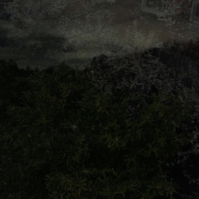 ee cover art