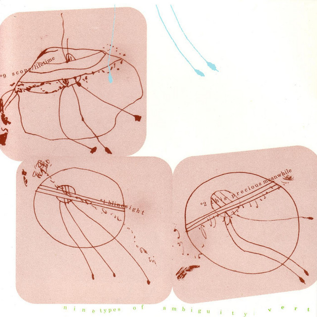 Nine Types Of Ambiguity cover art