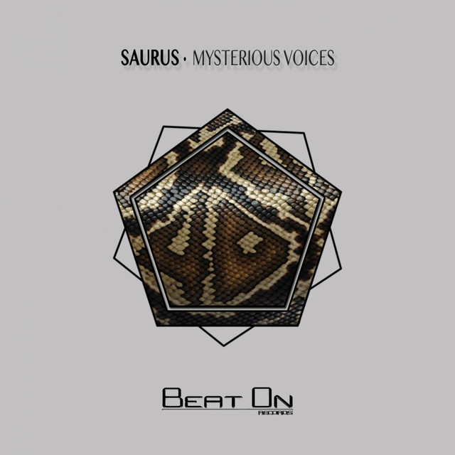 Mysterious Voices cover art