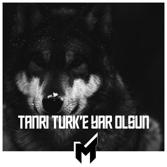 Tanrı Türk'e Yar Olsun