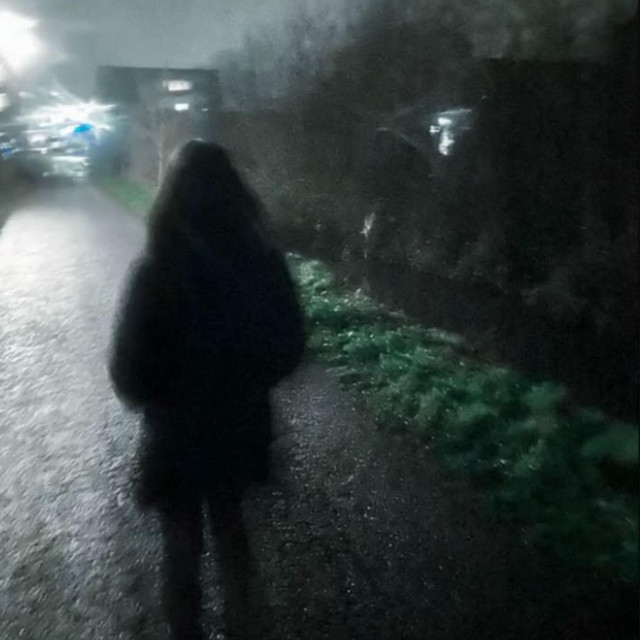 void (voicemail) cover art