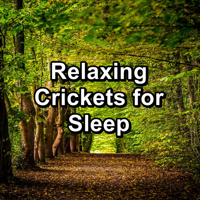 Relaxing Crickets for Sleep cover art