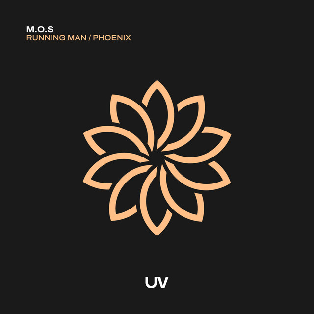 Phoenix - Extended Mix album art