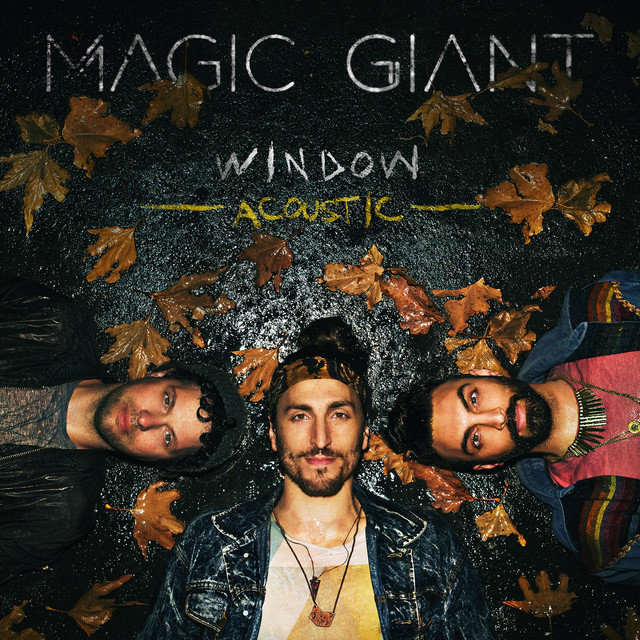 Window (Acoustic) cover art