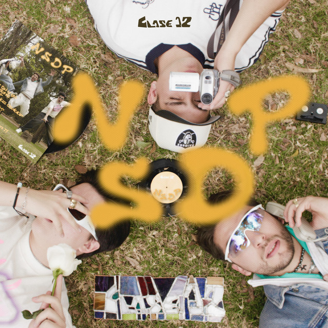 NSDP cover art