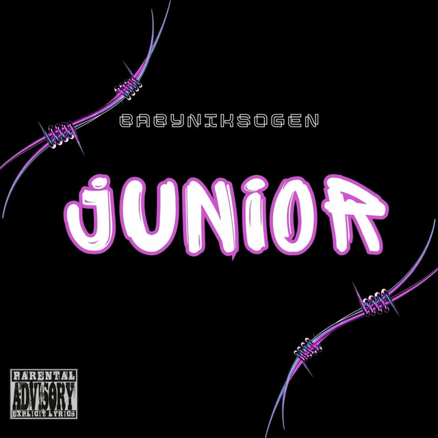 Cover art for BabyNiksoGen — JUNIOR