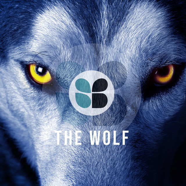 The Wolf - Fernando Picon Full Moon Remix cover art