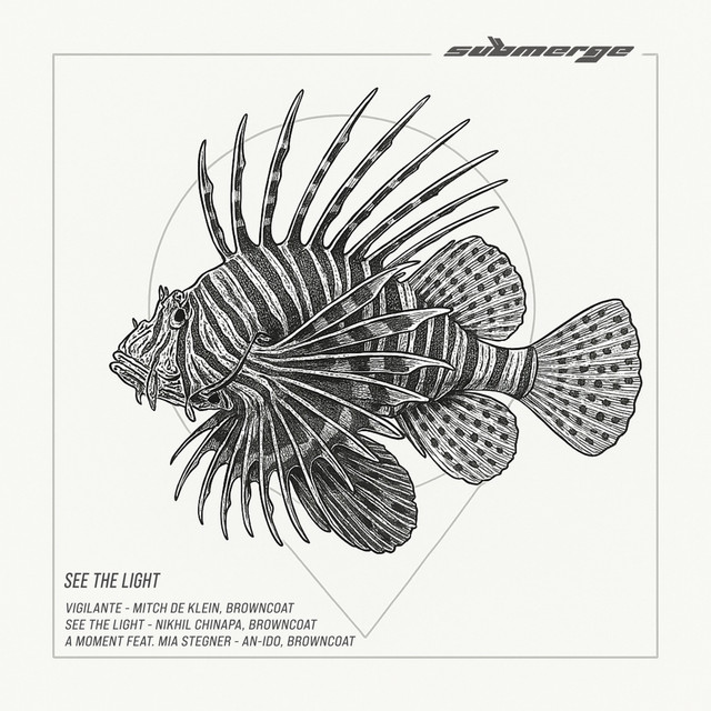 See the Light cover art