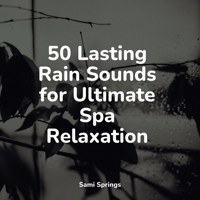 50 Lasting Rain Sounds for Ultimate Spa Relaxation - Album by Binaural ...