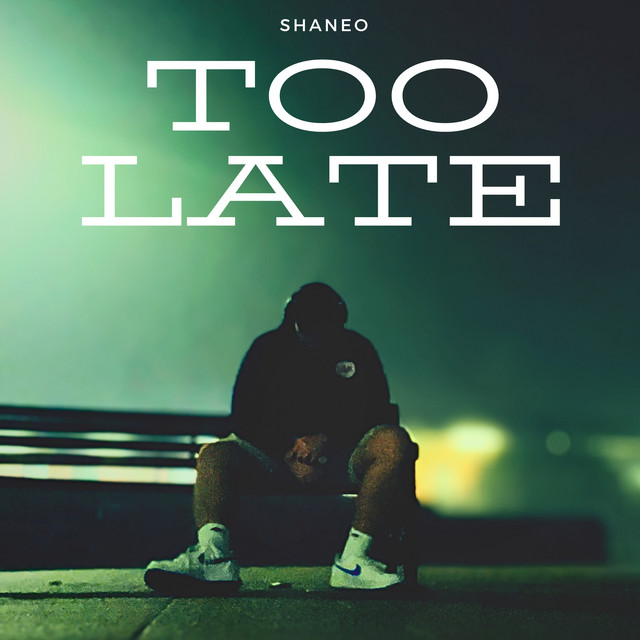 TOO LATE cover art