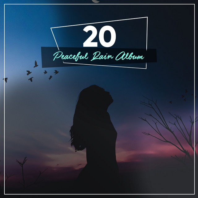 11 Chilled Rain Sounds to Unwind & Relax cover art