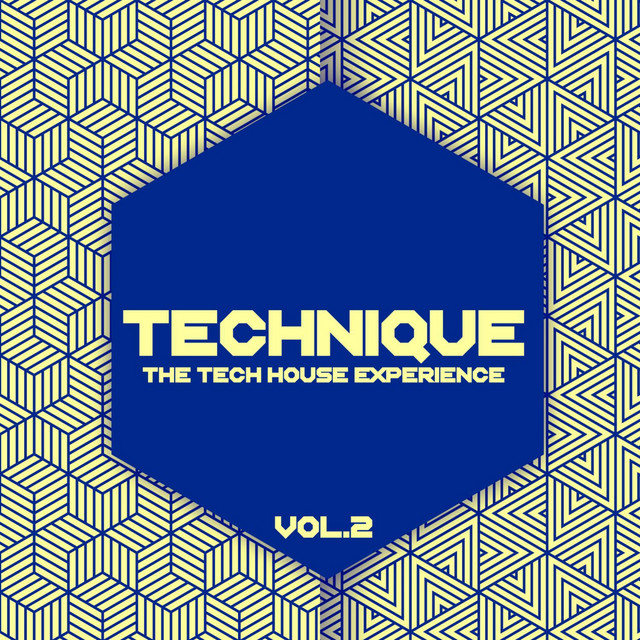 Technique, Vol. 2 (The Tech House Experience) cover