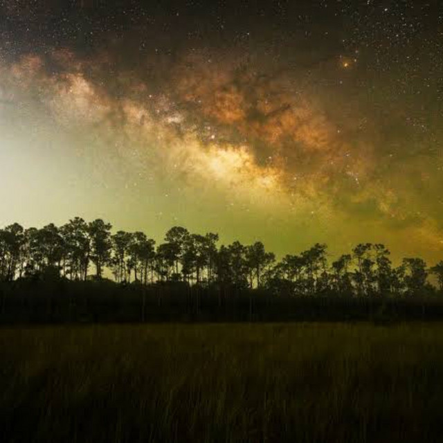 EVERGLADES I cover art