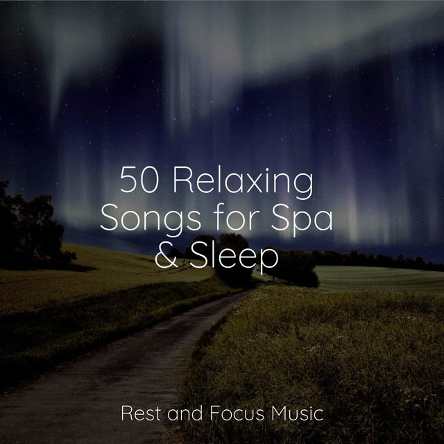 50 Relaxing Songs for Spa & Sleep cover art