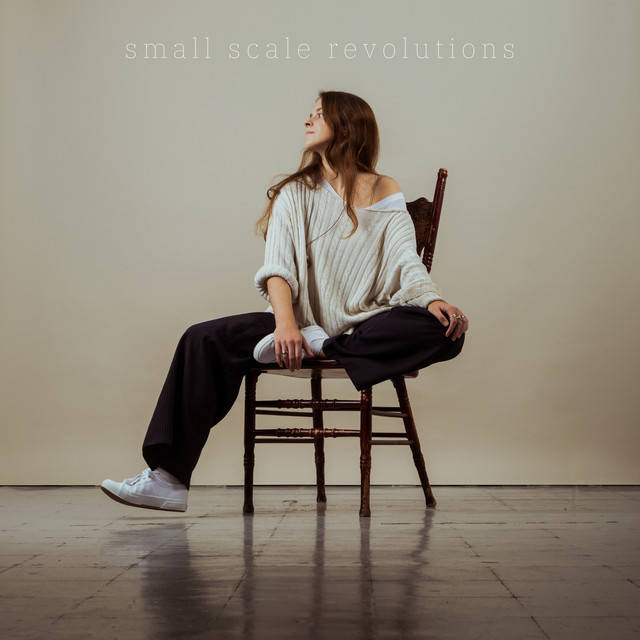 Small Scale Revolutions cover art