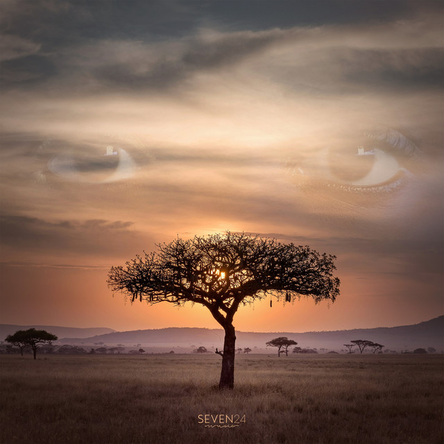 Maasai album image